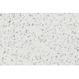 White Galaxy Wetwall Panel